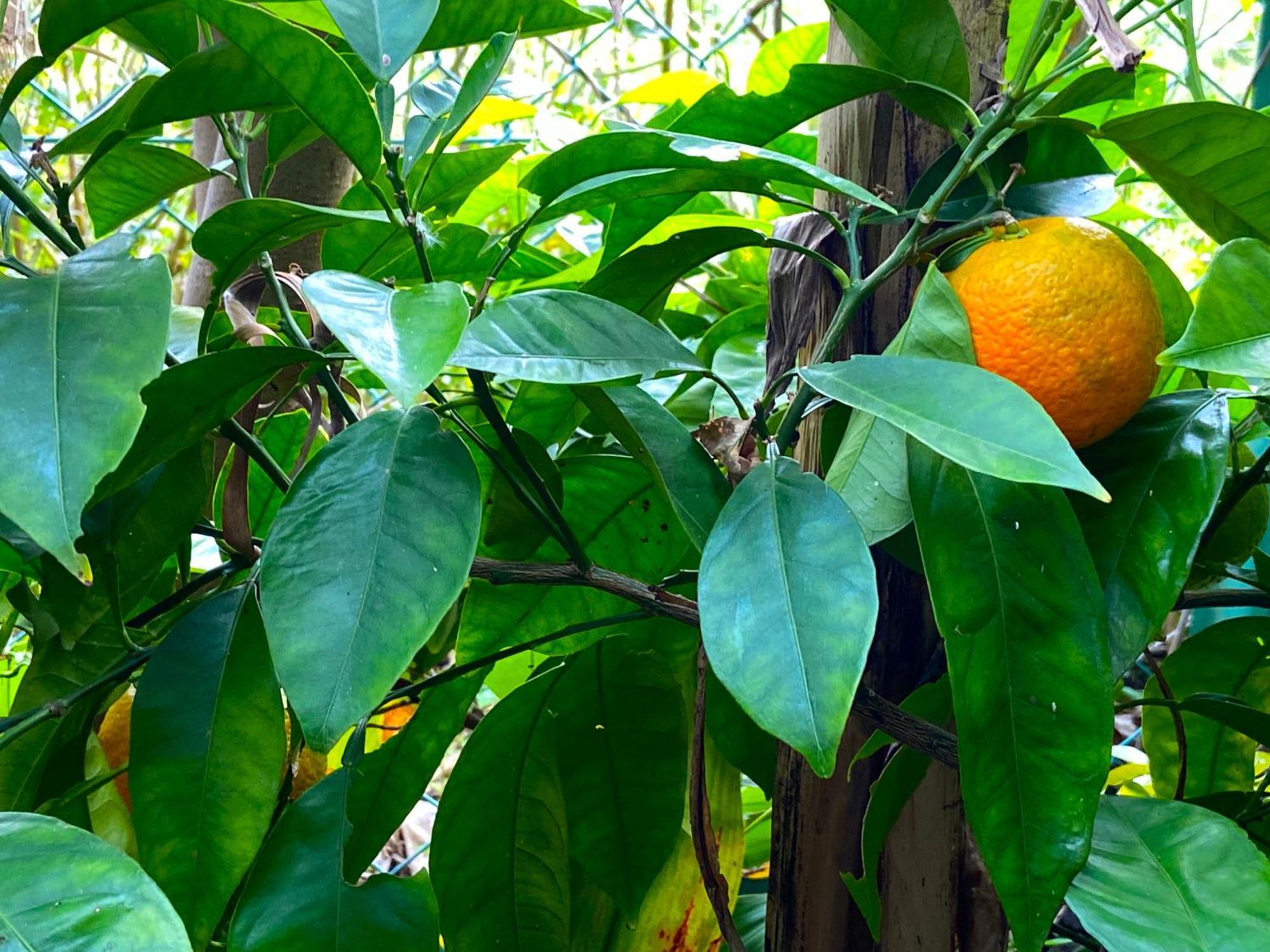Kamagasaki University Of The Arts Cafe Garden Guest House Aka Cocoroom โอซาก้า ภายนอก รูปภาพ