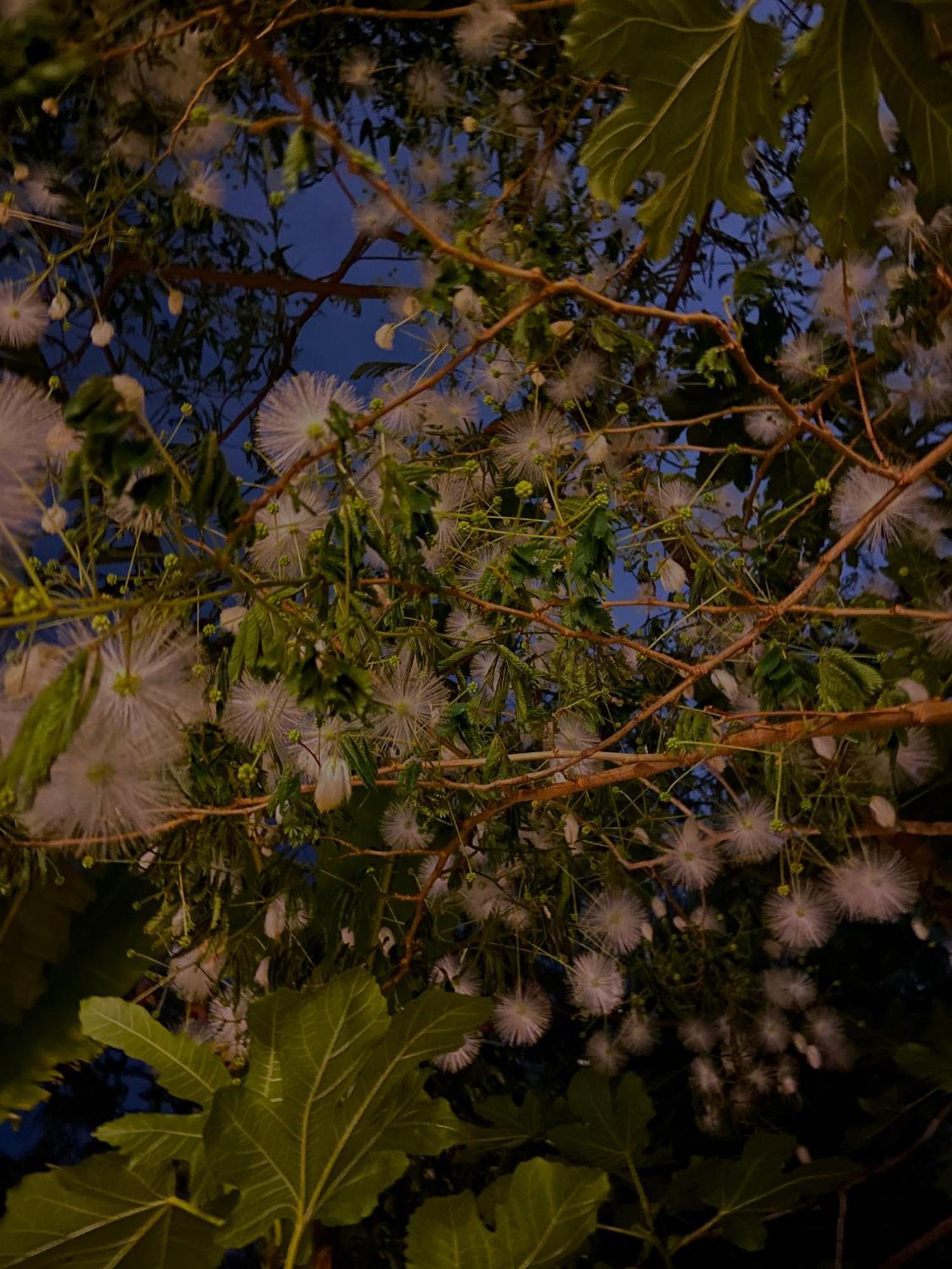 Kamagasaki University Of The Arts Cafe Garden Guest House Aka Cocoroom โอซาก้า ภายนอก รูปภาพ