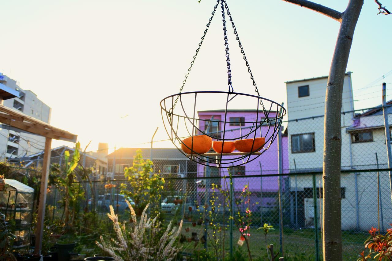 Kamagasaki University Of The Arts Cafe Garden Guest House Aka Cocoroom โอซาก้า ภายนอก รูปภาพ
